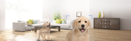 cctv wireless ezviz c6n smart tracking cctv wireless ezviz c6n smart tracking