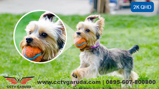 Hasil CCTV Tapo C320WS - Tapo Semarang 