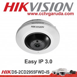 Easy IP 3.0 DS-2CD2955FWD