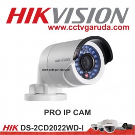 Pro IP Cam 2.0 DS-2CD2022WD-I