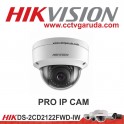 Pro IP Cam 2.0 DS-2CD2122FWD-IS