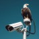 CCTV SEMARANG OUTDOOR AHD 720P