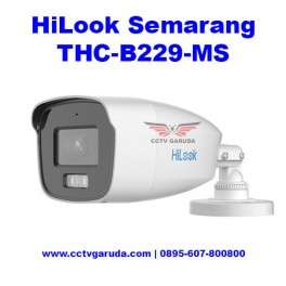 CCTV HiLook Semarang THC-B229-MS